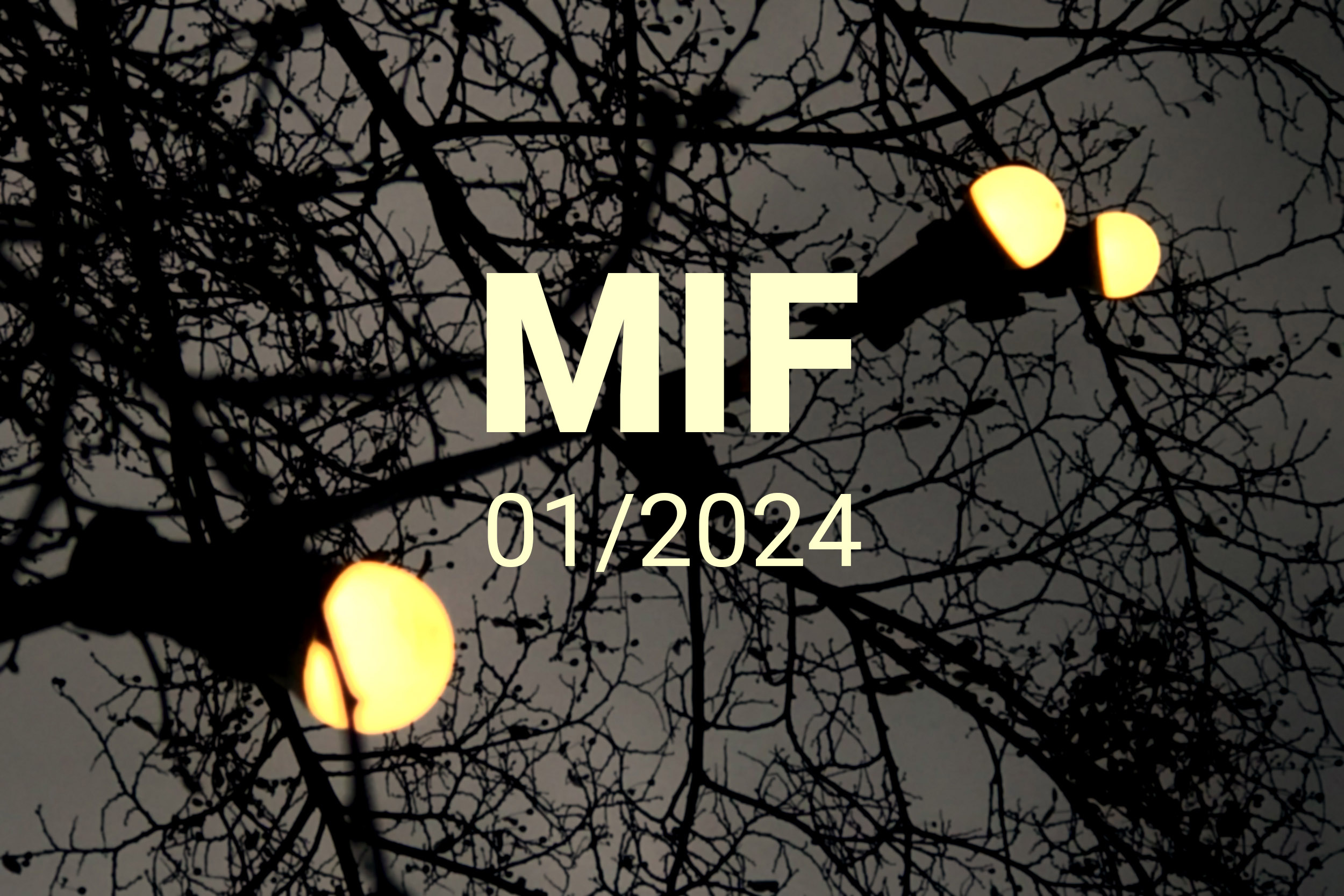 MIF playlist 01/2024