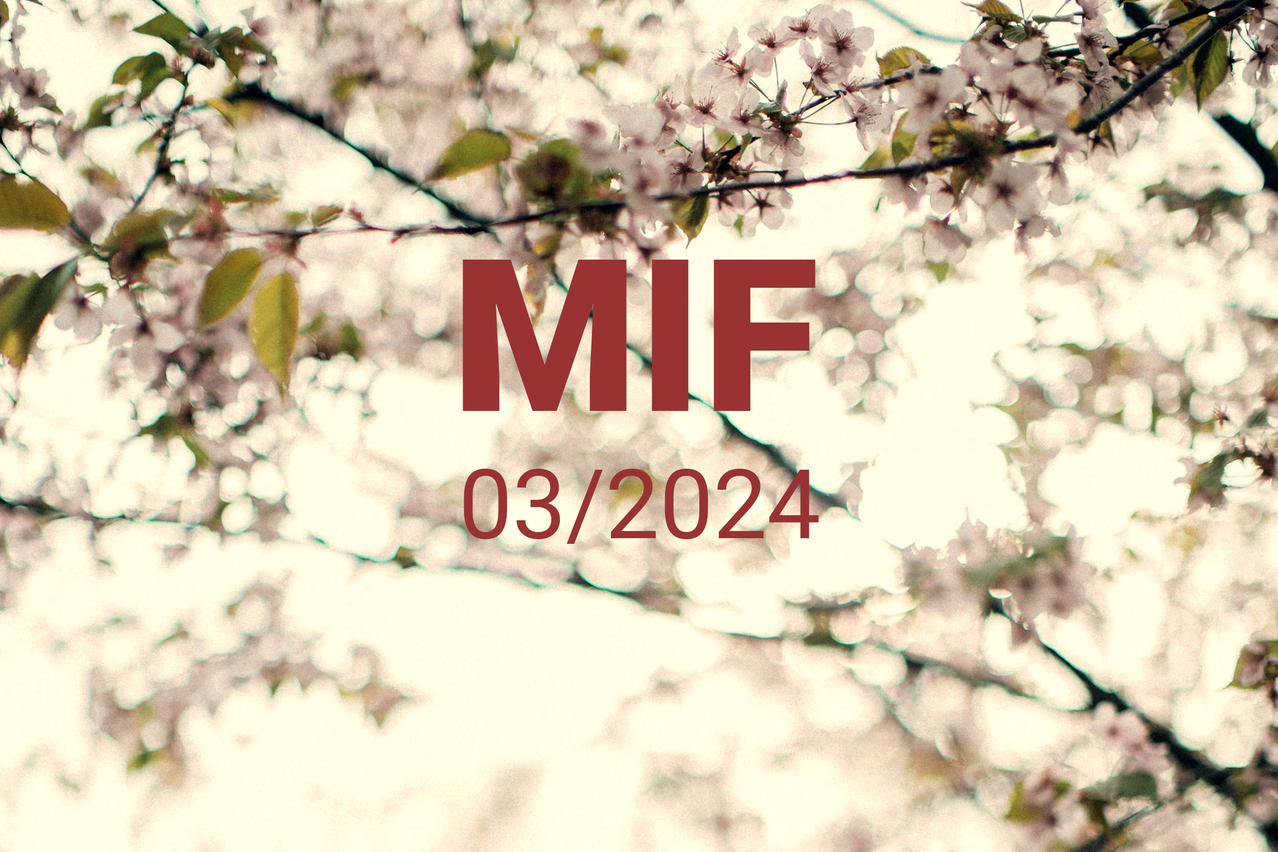 MIF playlist 03/2024