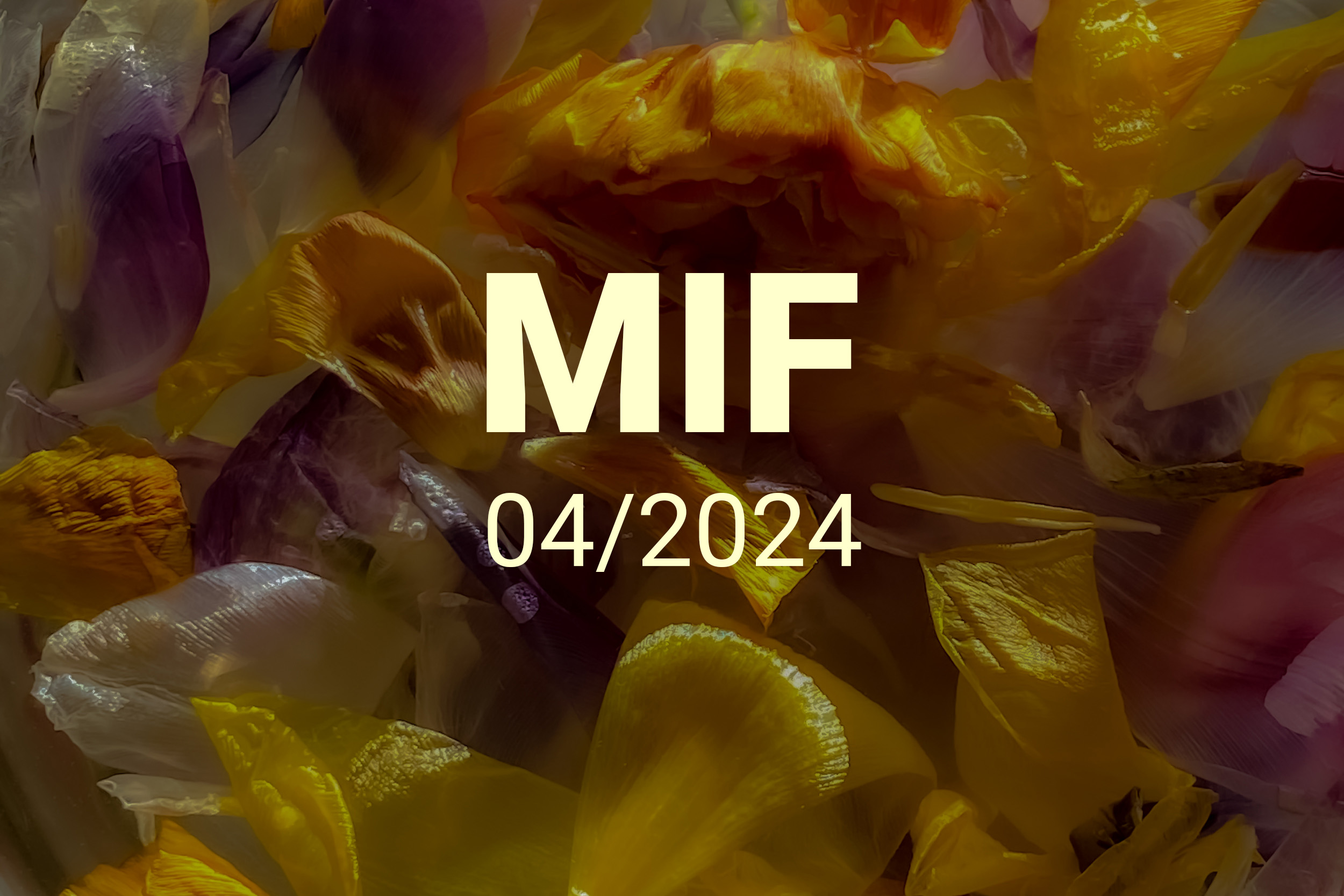MIF playlist 04/2024