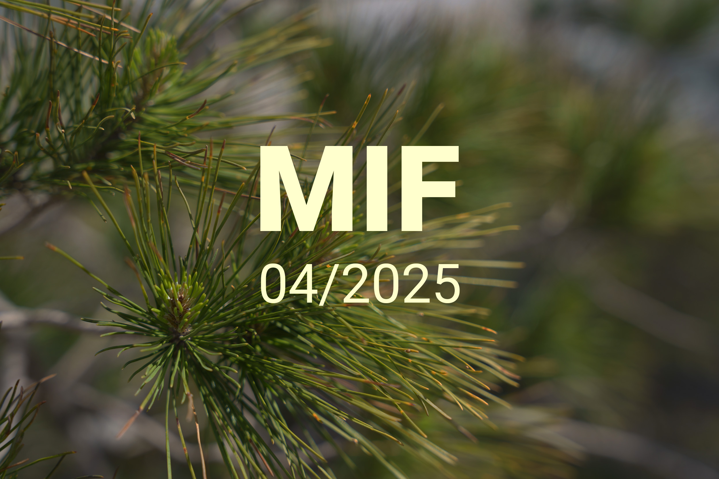 MIF playlist 04/2025