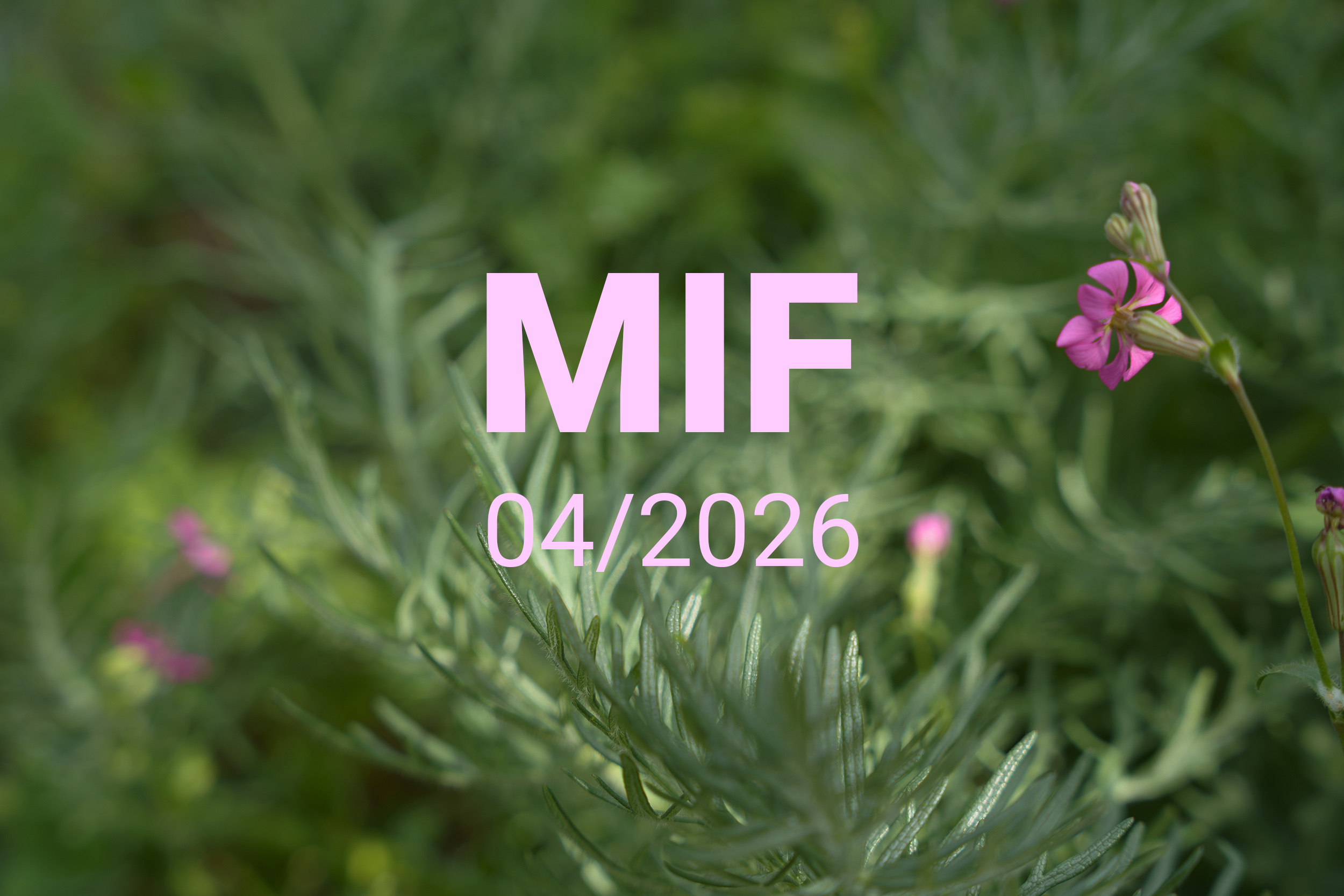 MIF playlist 04/2026