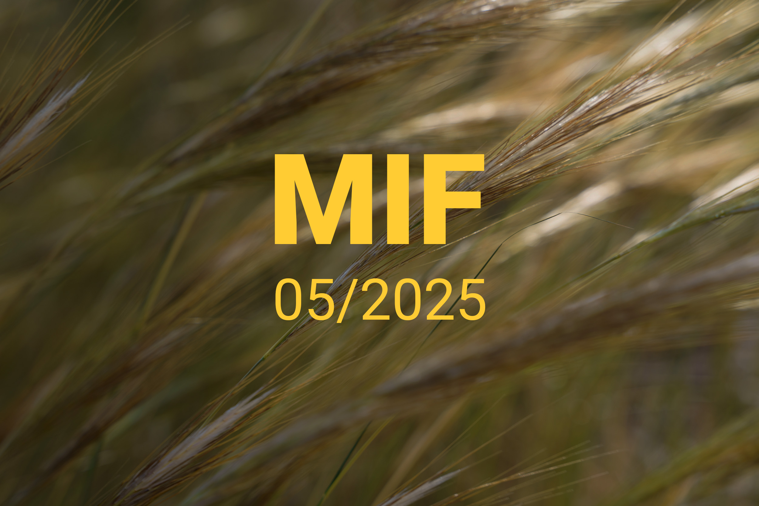 MIF playlist 05/2025