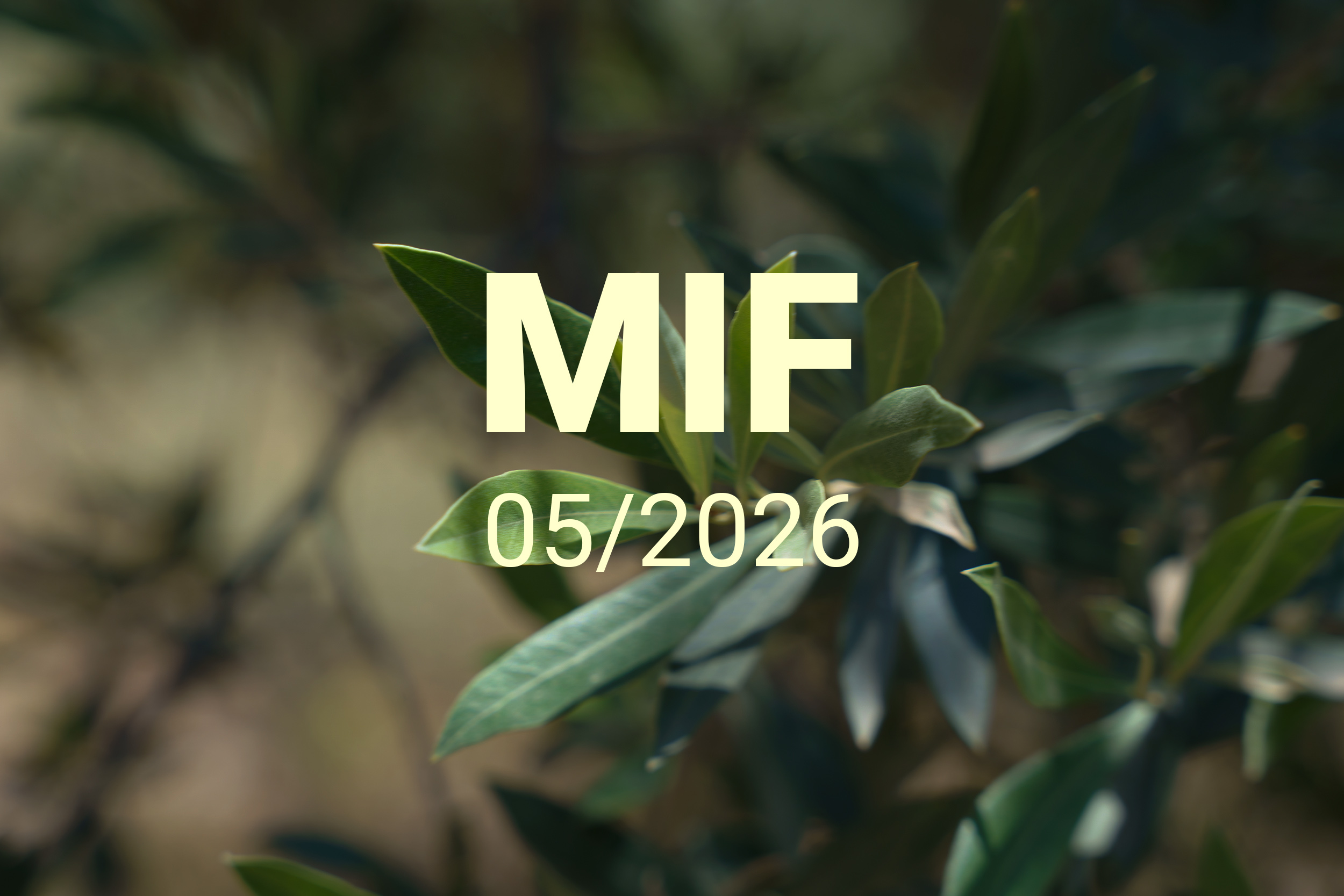 MIF playlist 05/2025