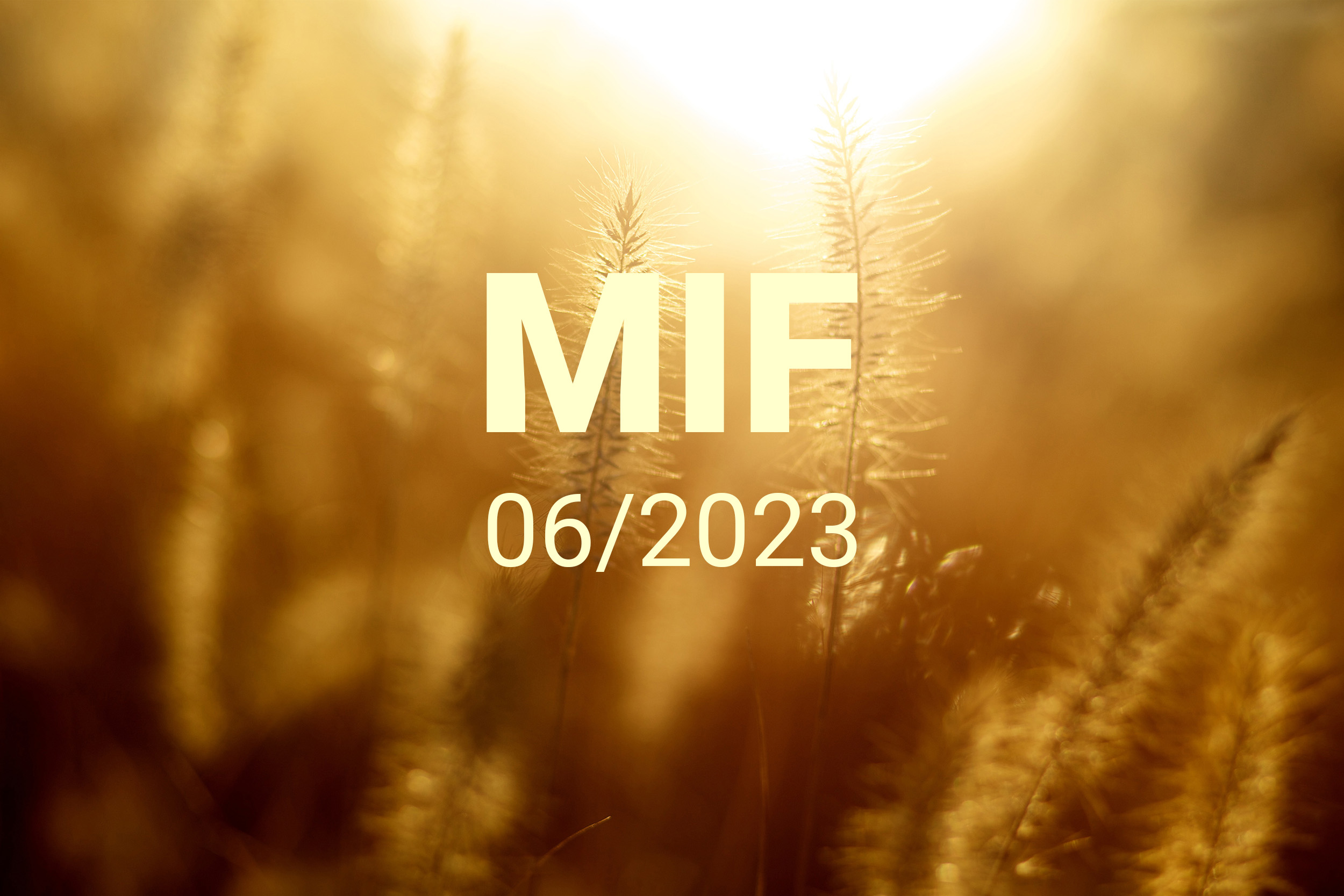 MIF playlist - Ιούνιος 2023