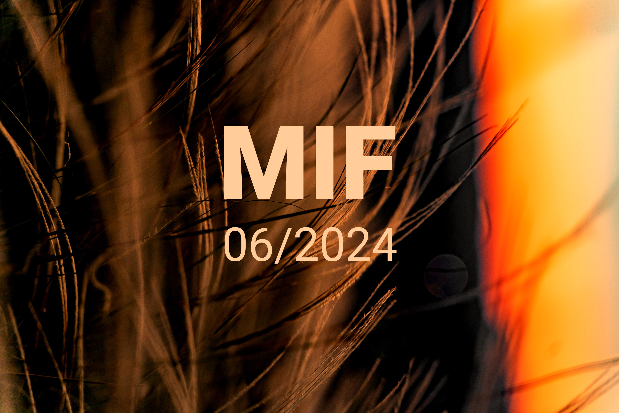MIF playlist 06/2024