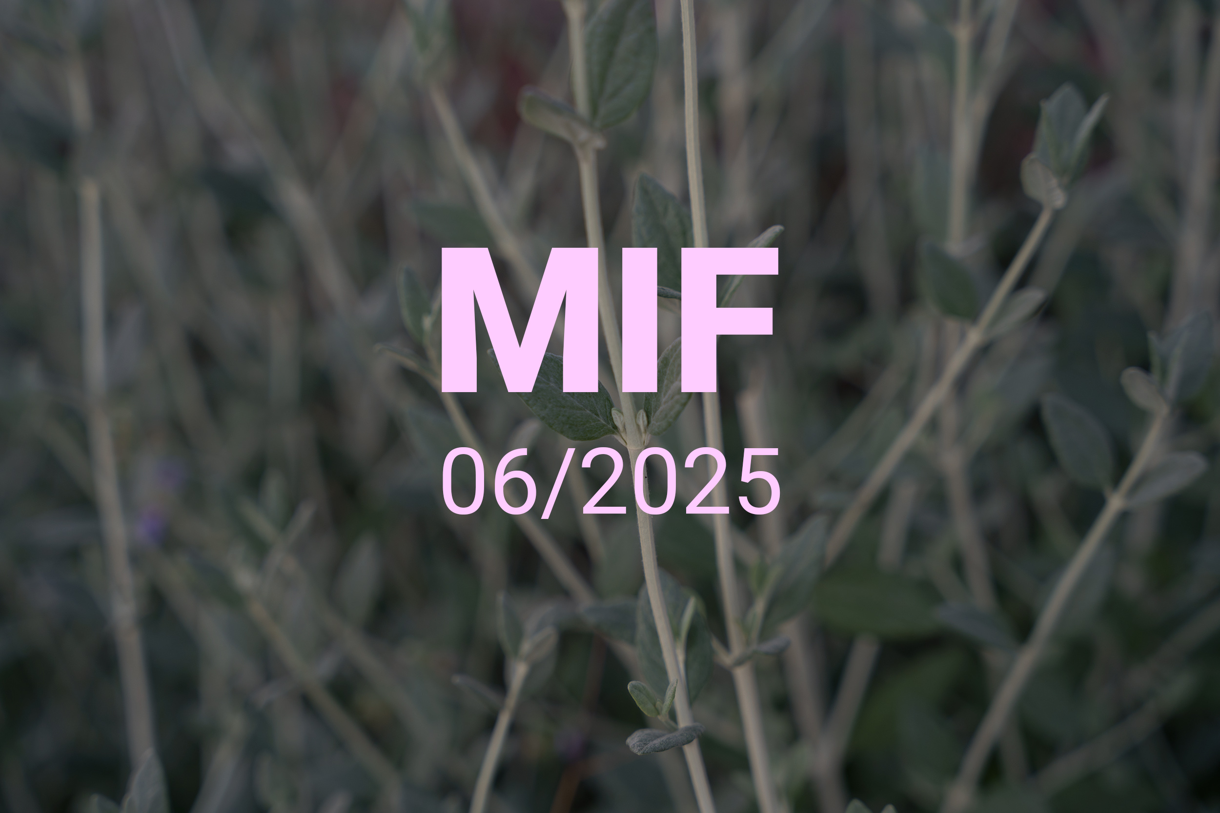 MIF playlist 06/2025