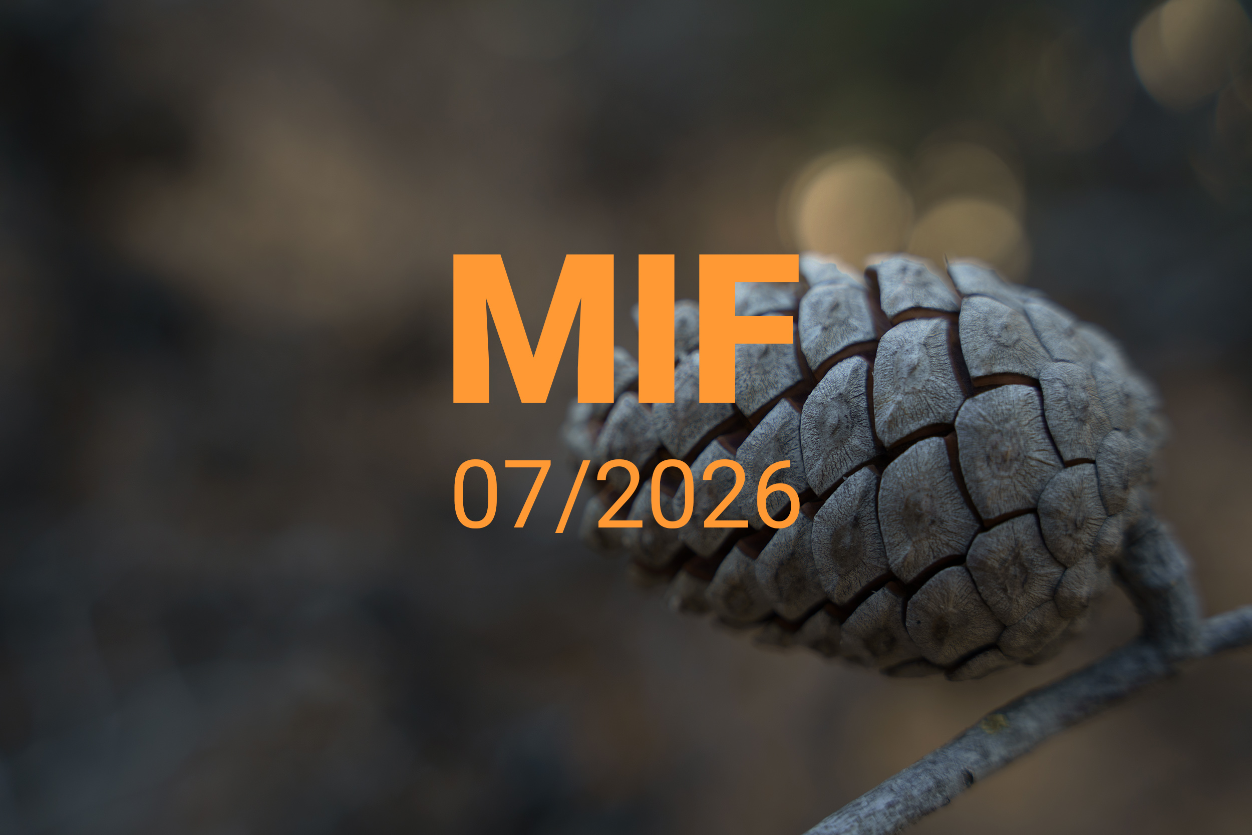 MIF playlist 07/2025