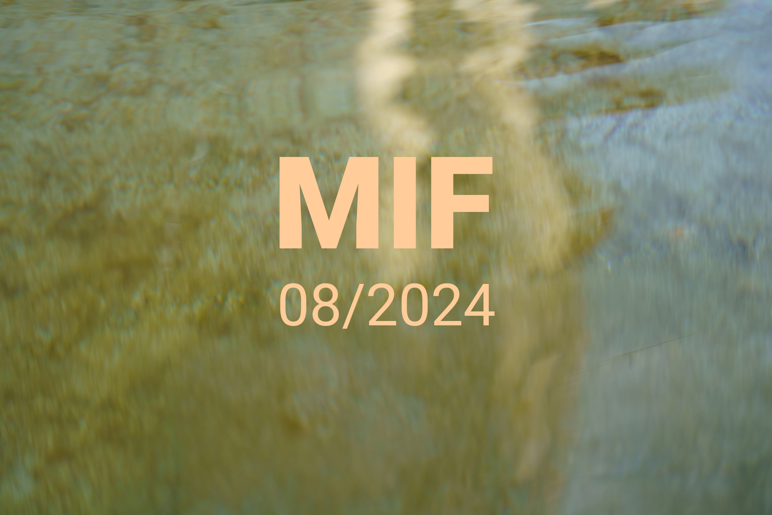 MIF playlist 08/2024