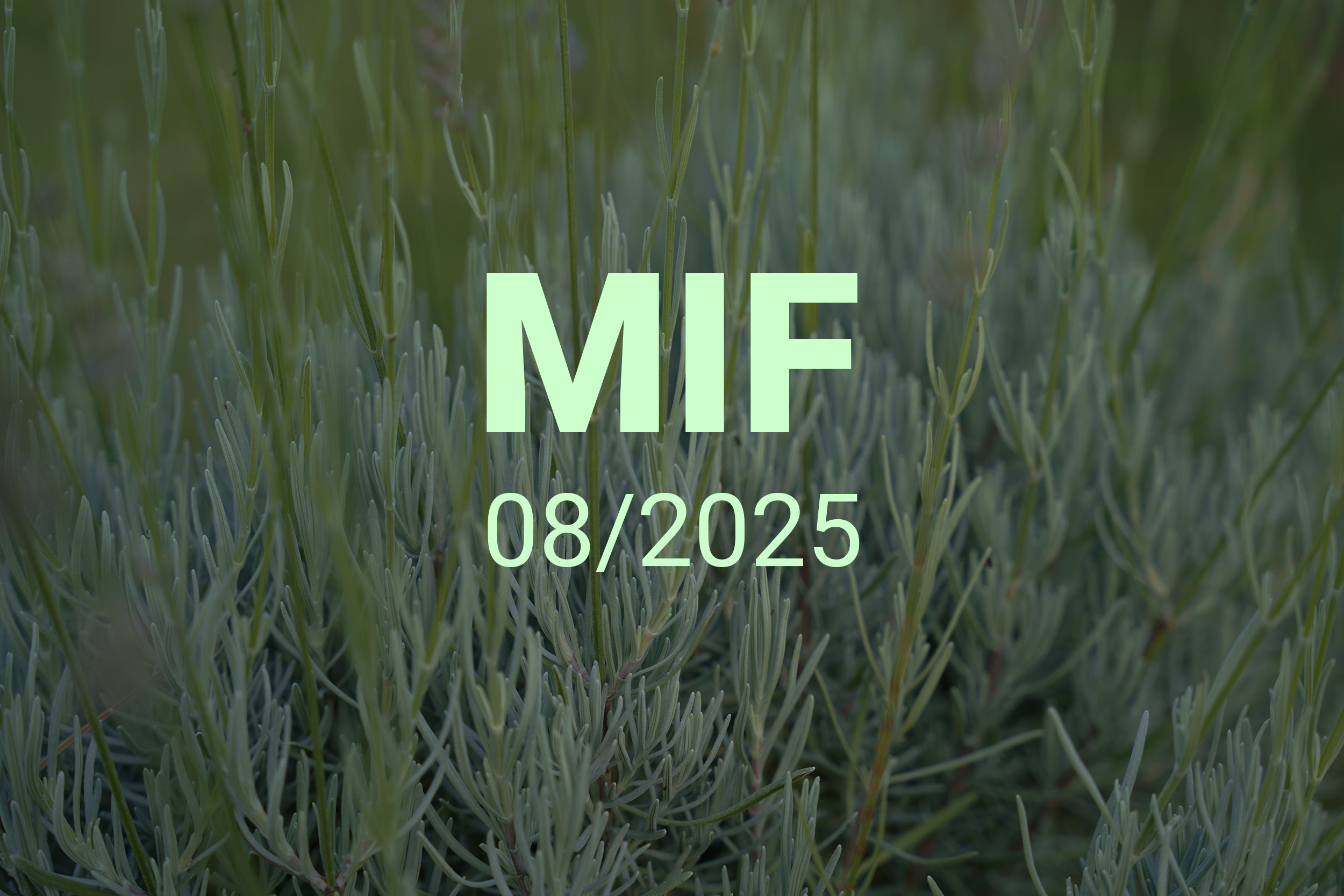 MIF playlist 08/2025