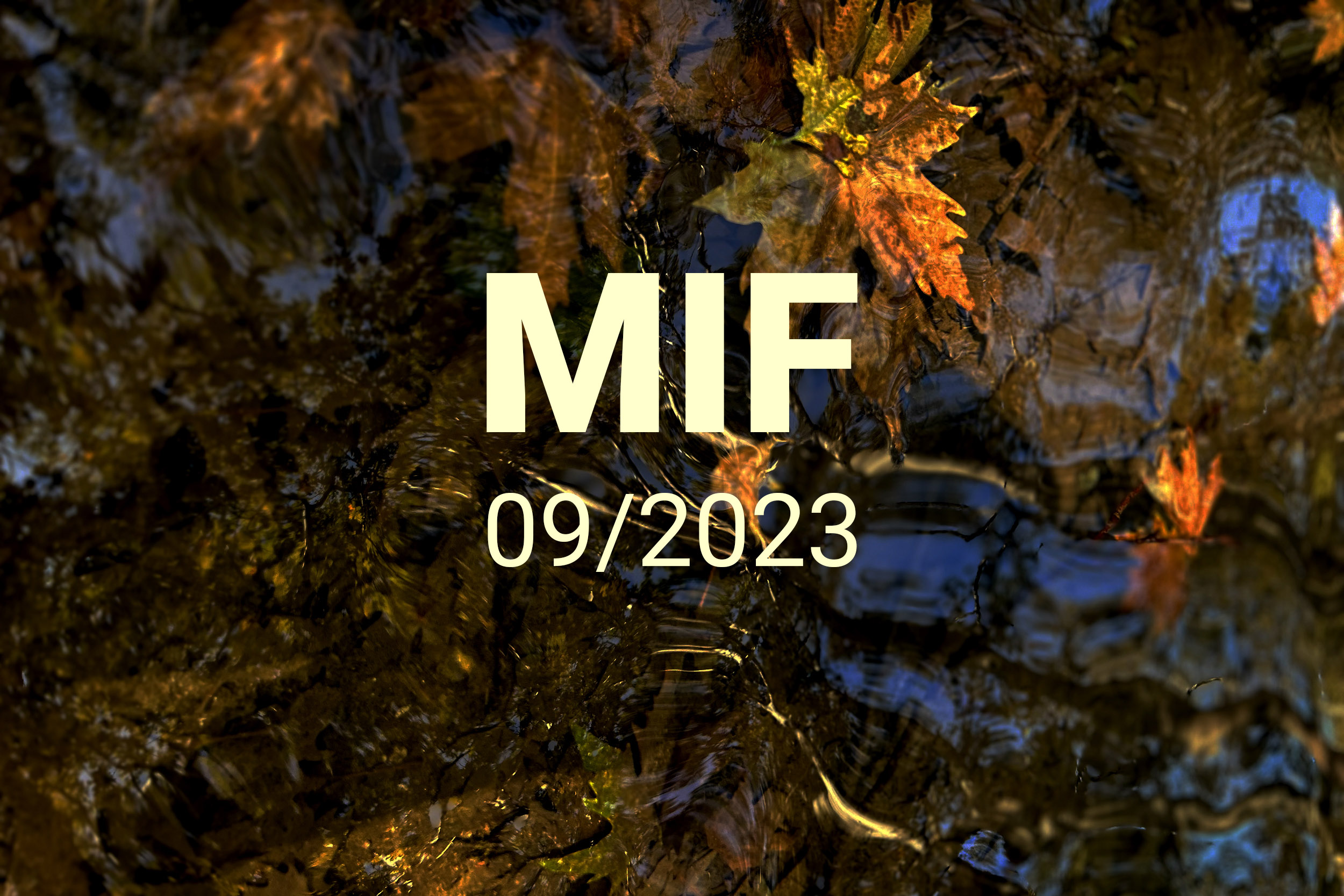 MIF playlist 09/2023