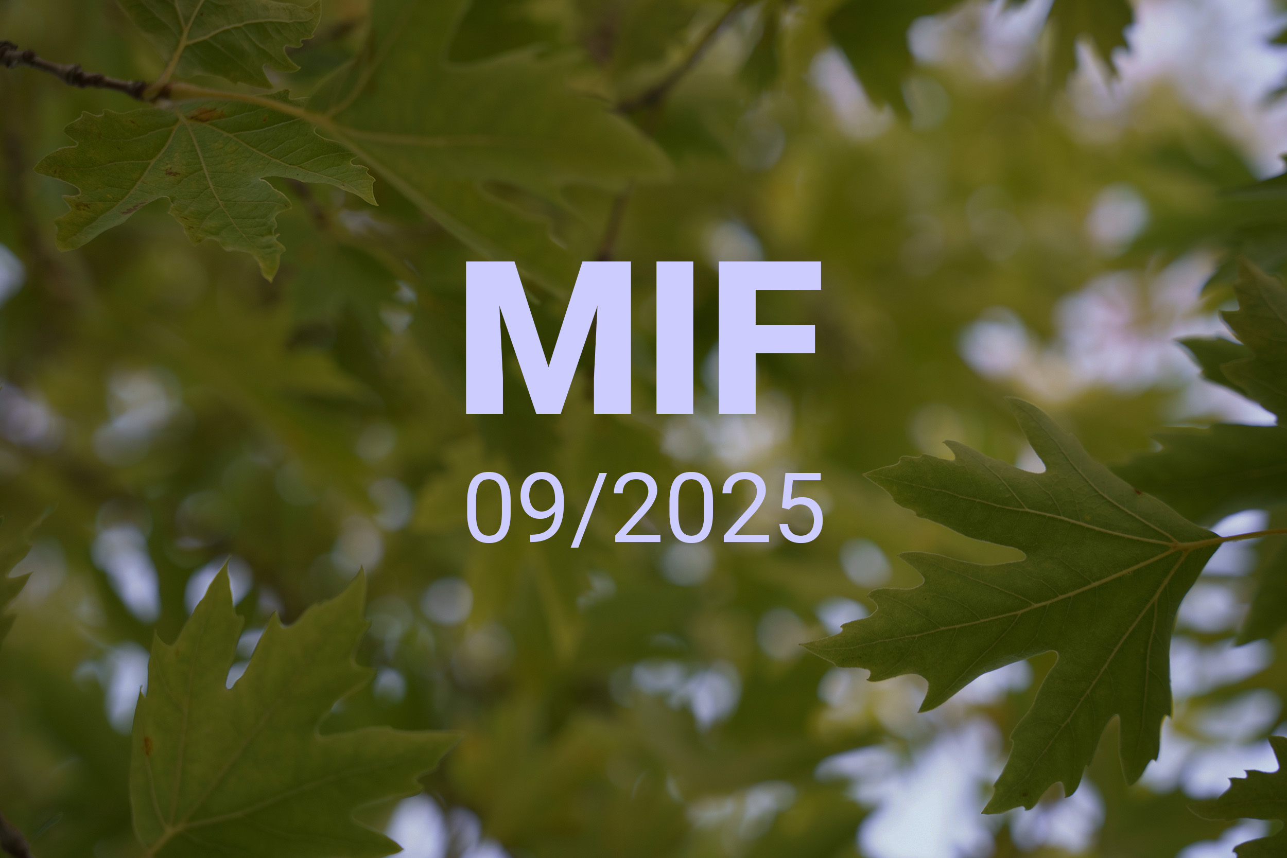 MIF playlist 09/2025