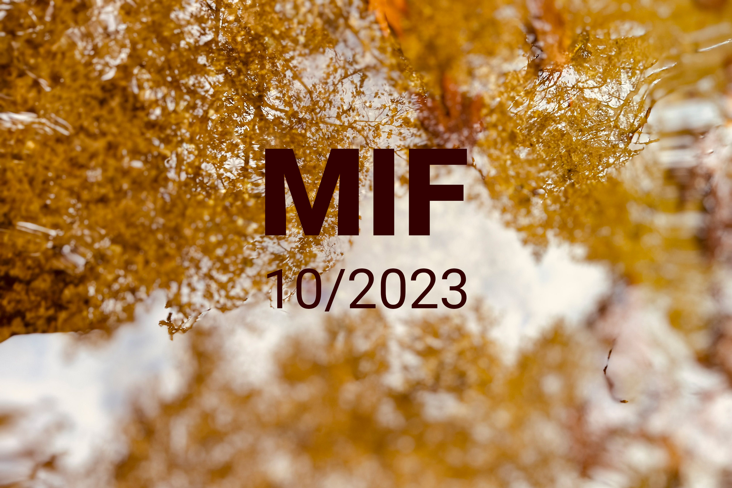 MIF playlist 10/2023