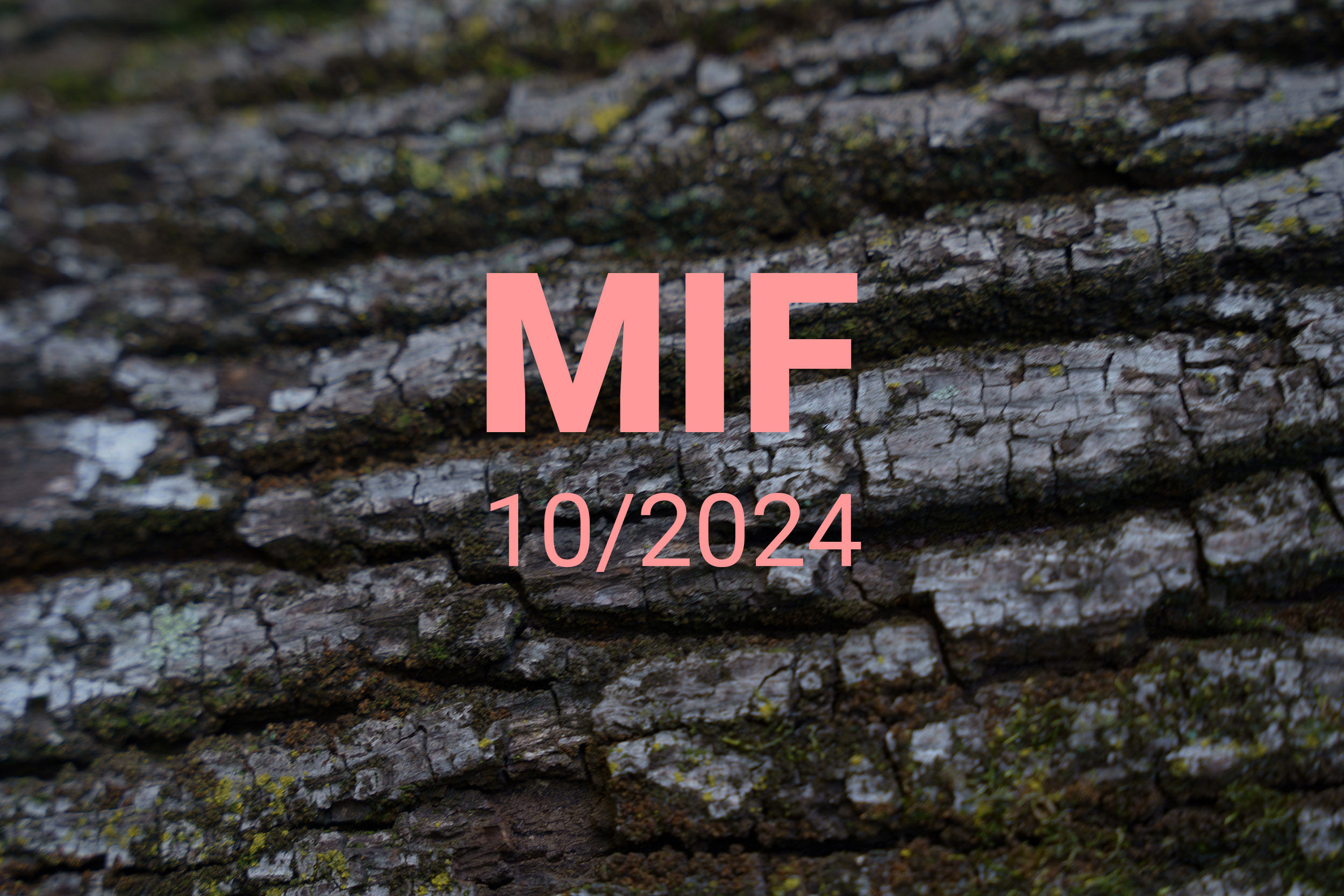 MIF playlist 10/2024