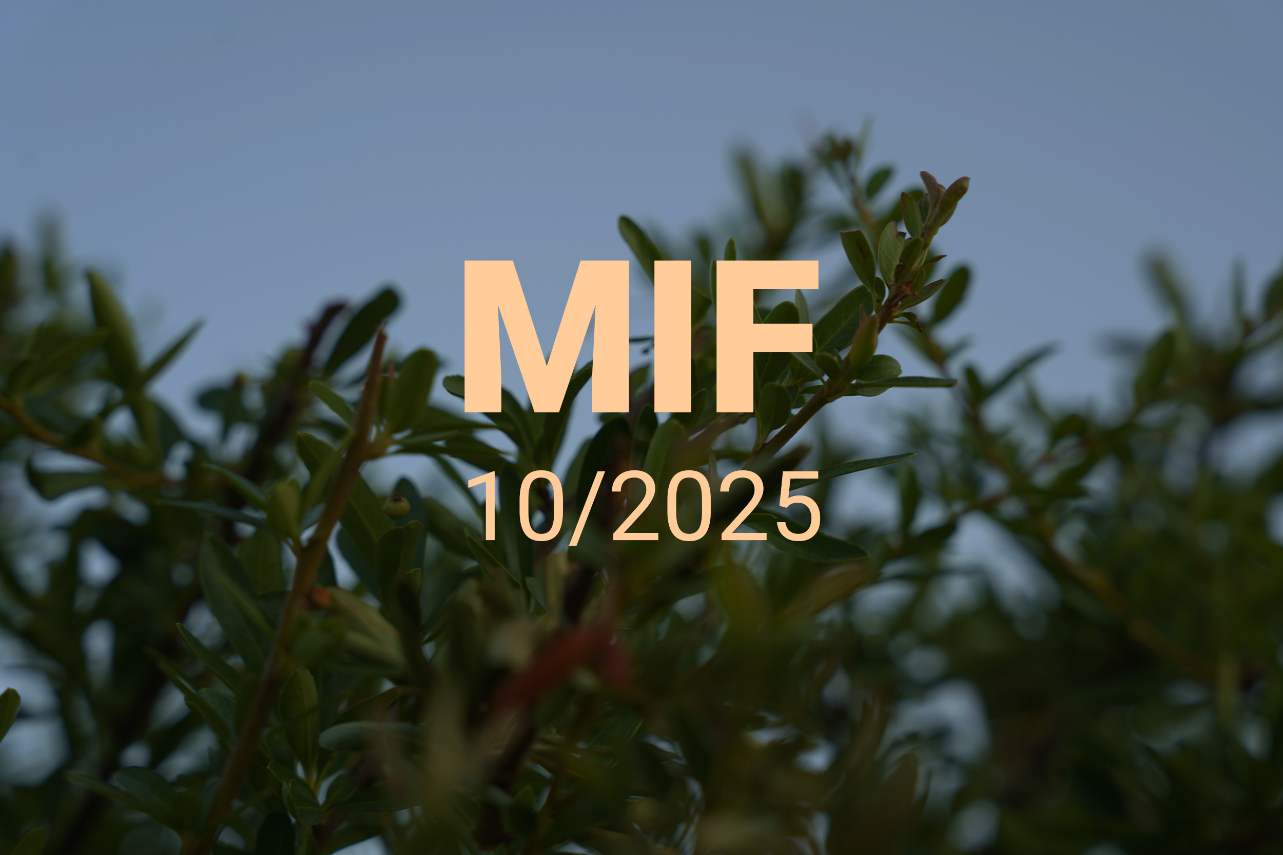 MIF playlist 10/2025