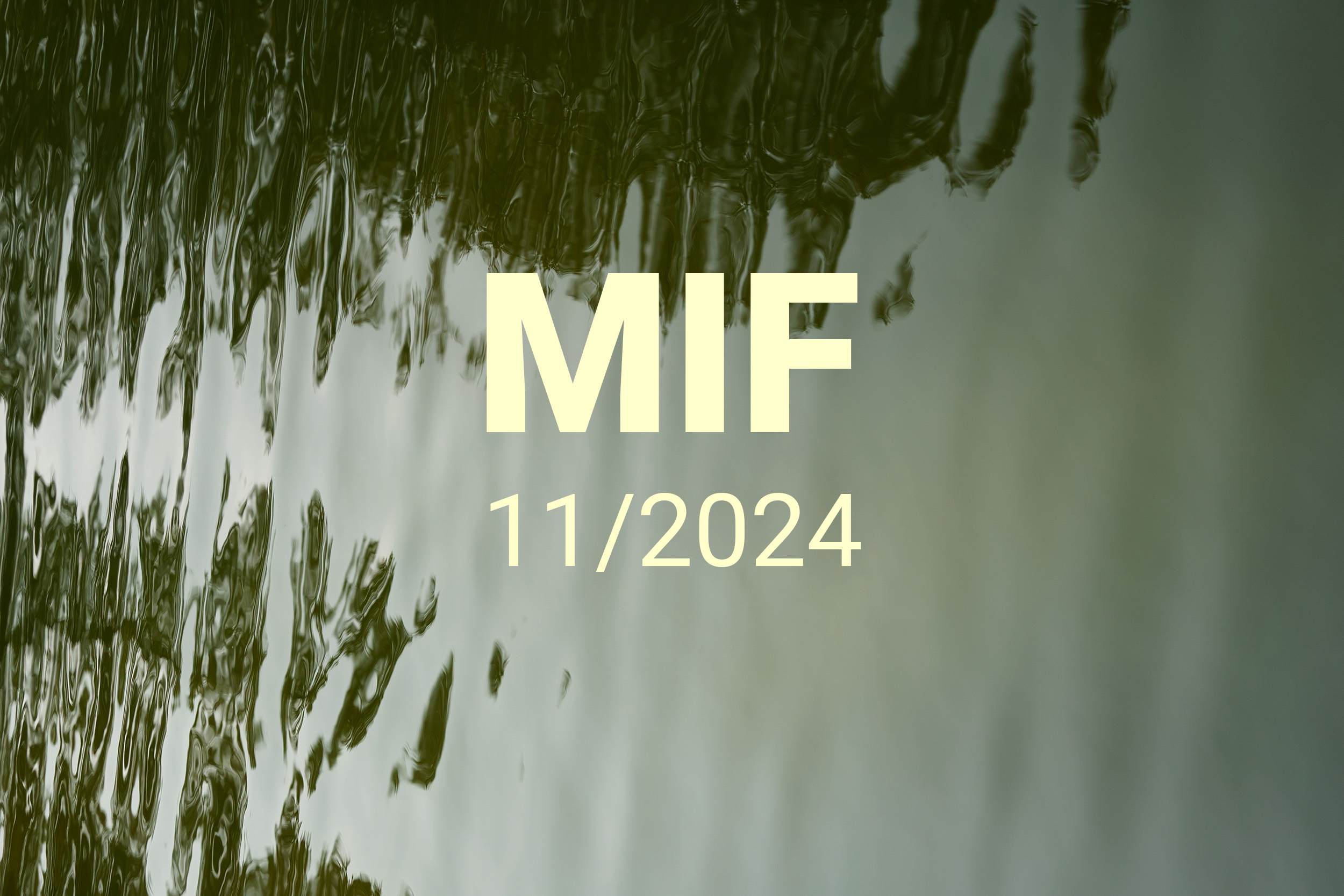 MIF playlist 11/2024