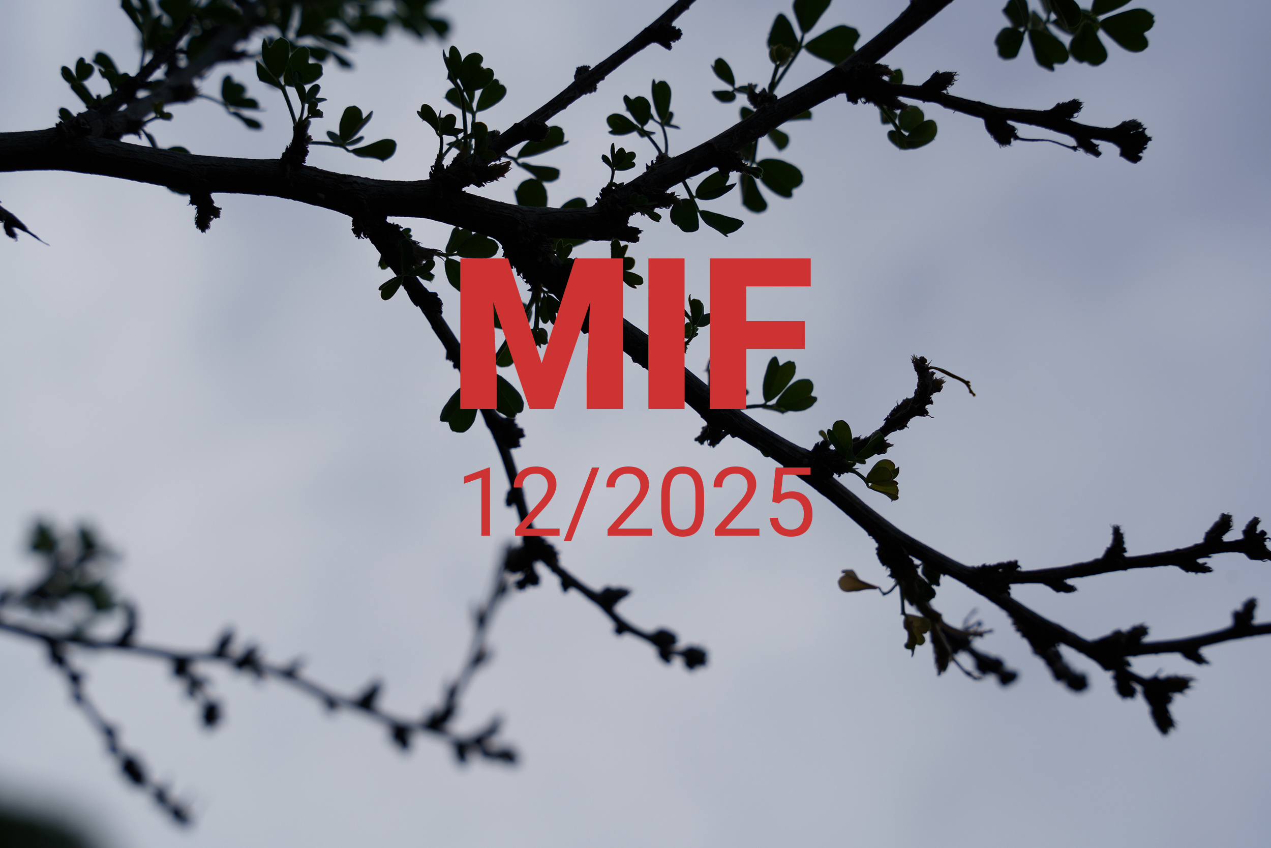 MIF playlist 12/2025